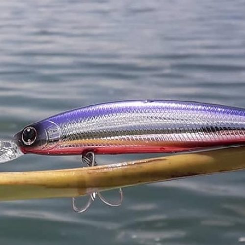 DAIWA Shore Line Shiner Z Set Upper 97S-DR