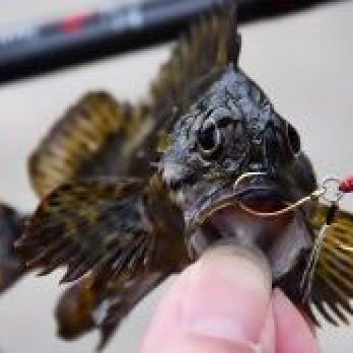 Rudie’s Gyoshi Metal Hirari 3gr